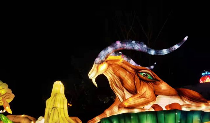 2022 Zigong Lantern Festival (2)